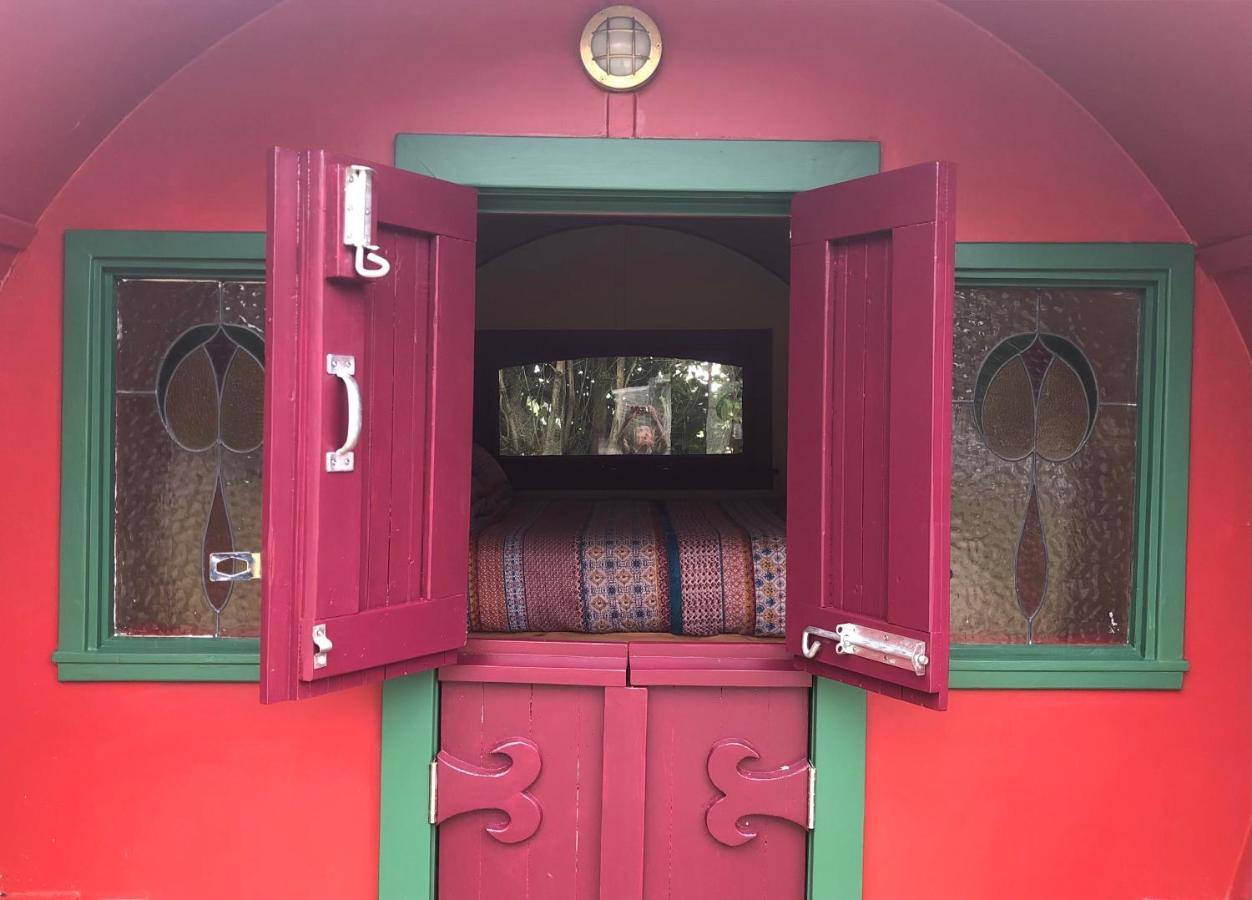 Holiday park Greytown Campground 2*